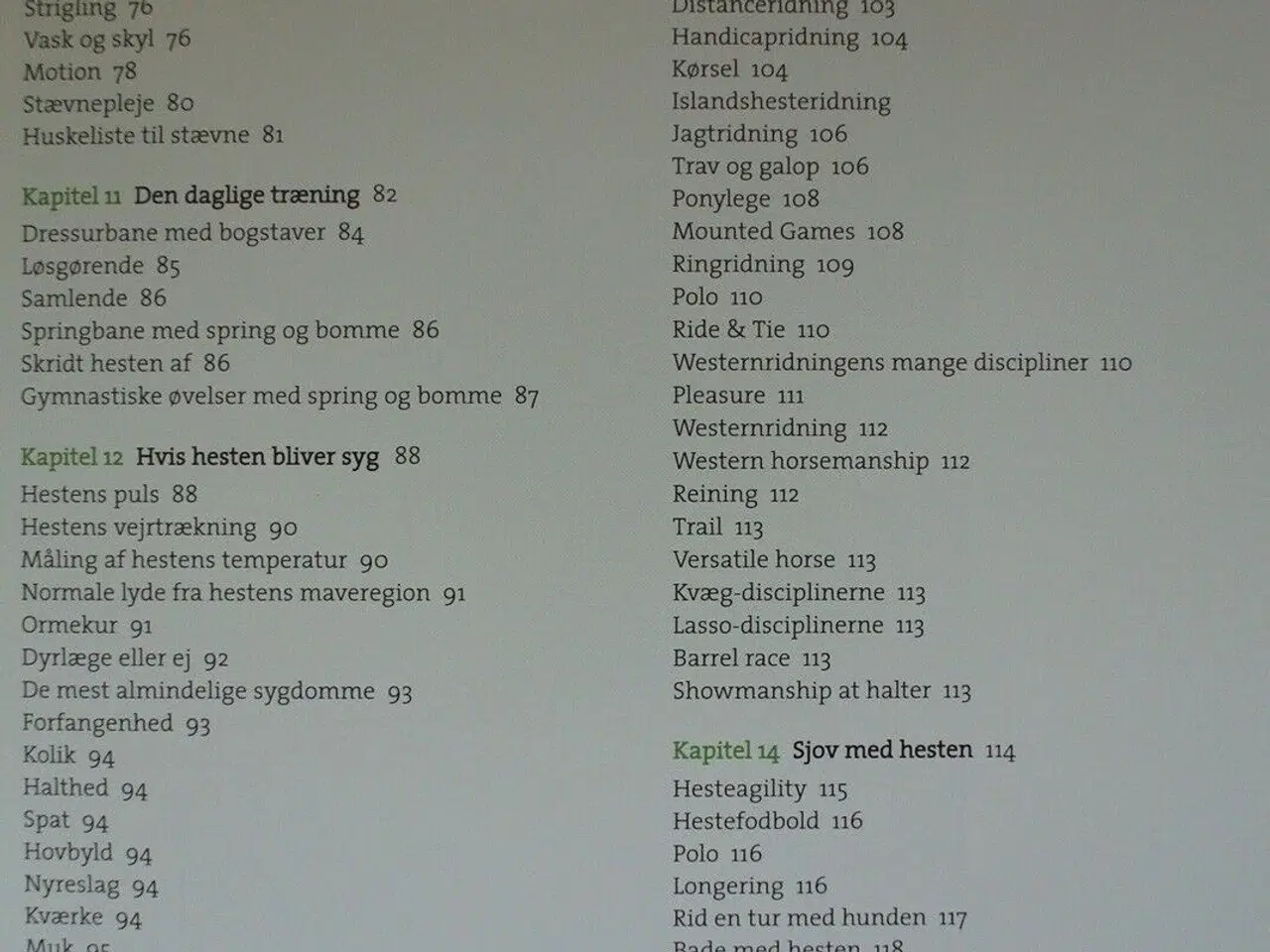 Billede 3 - lær at ride med tina lund, af tina lund, emne: hob