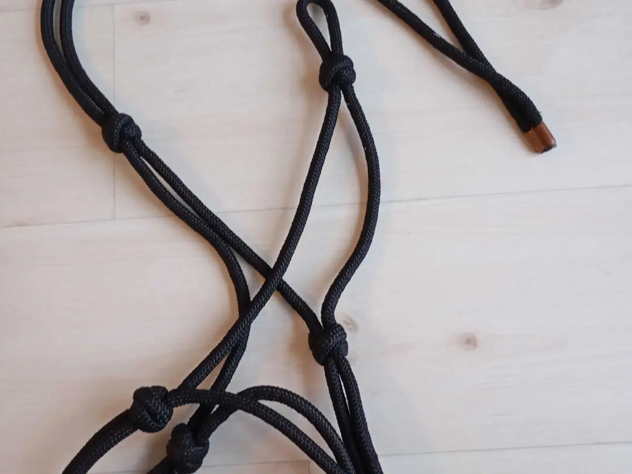 Billede 4 - Rebgrime str. Cob