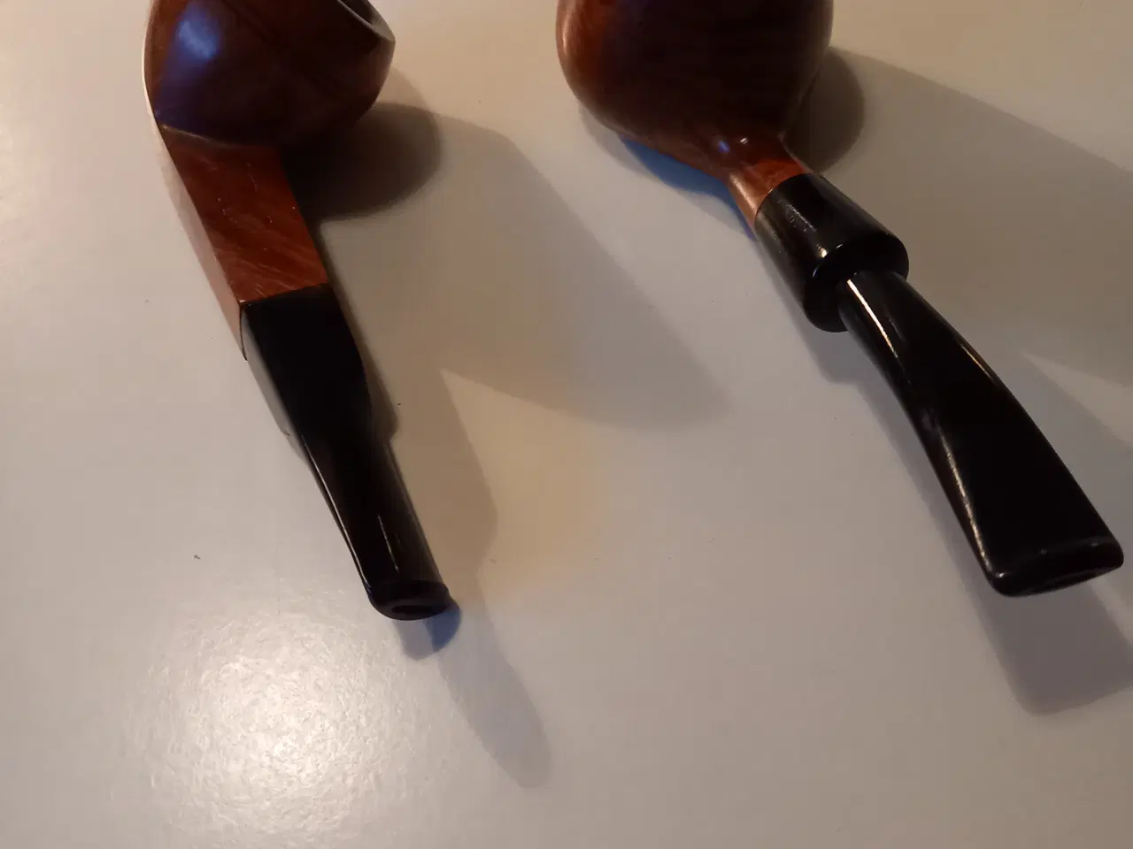 Billede 4 - 2 Piber velholdte 