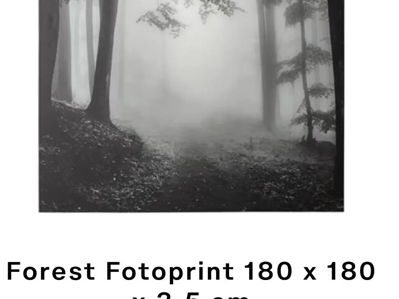 Billede 1 - Billed - 180 x 180 cm - Forest