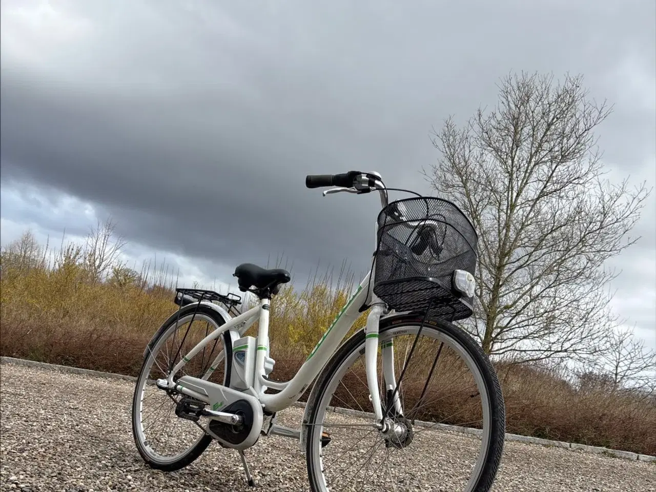 Billede 2 - El Cykel EVERTON