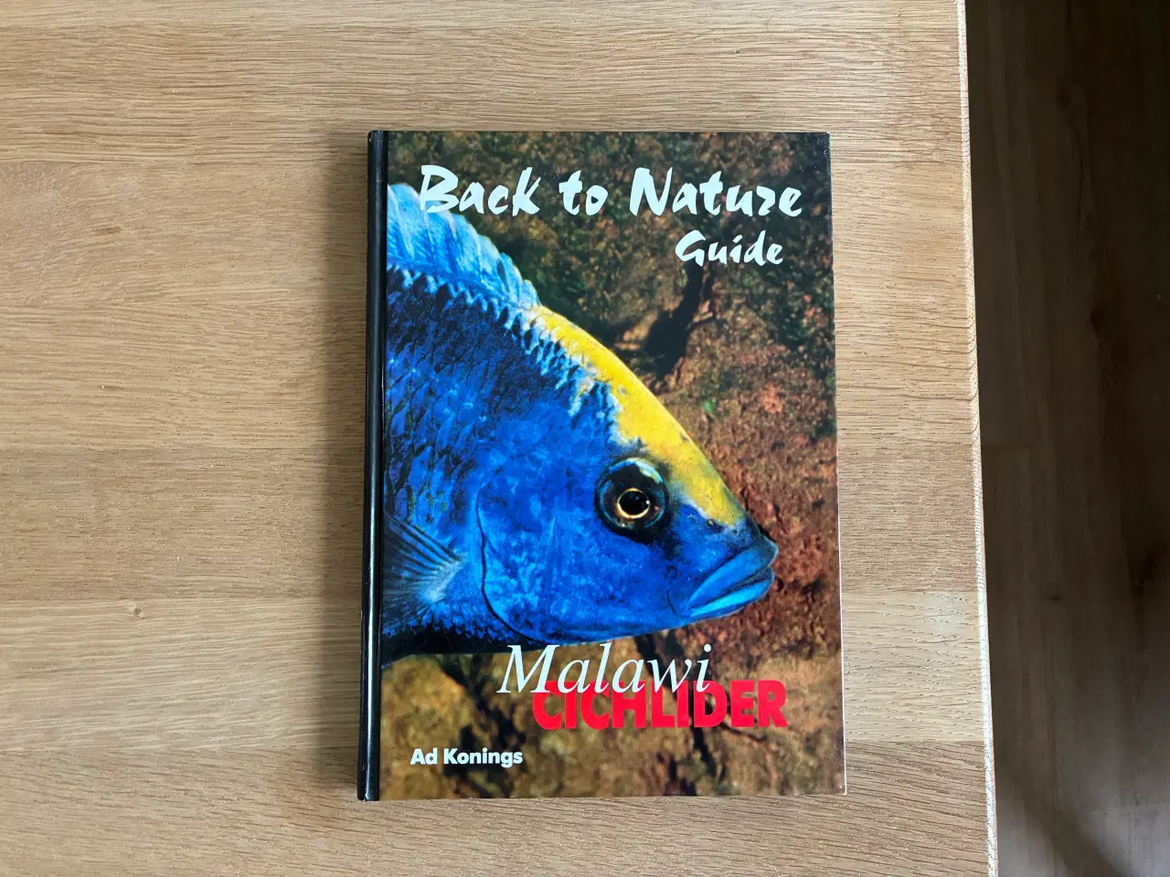 Billede 1 - Malawi Cichlider  - Back to Nature Guide