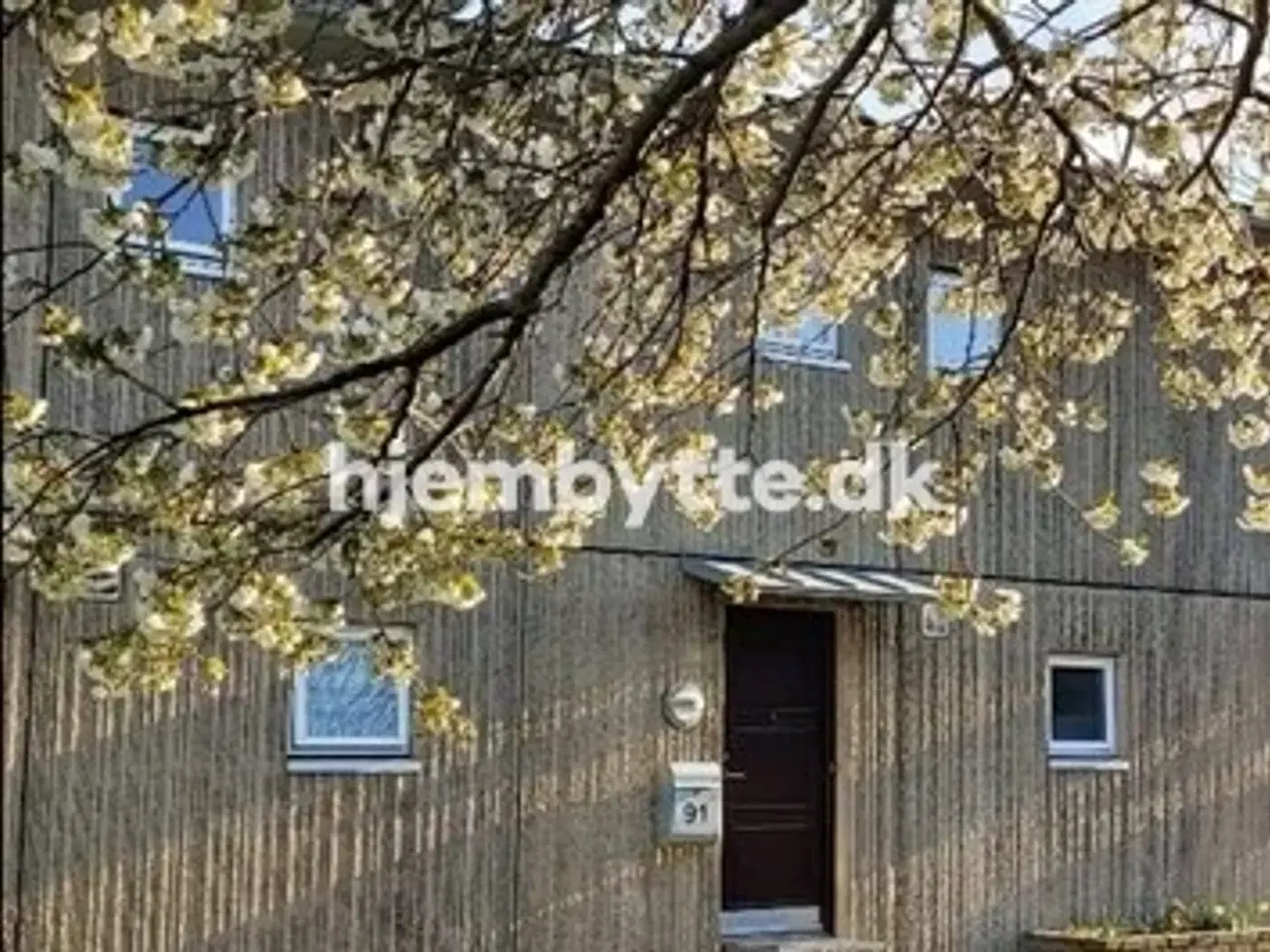 Billede 17 - Hjembytte - Muskathaven
