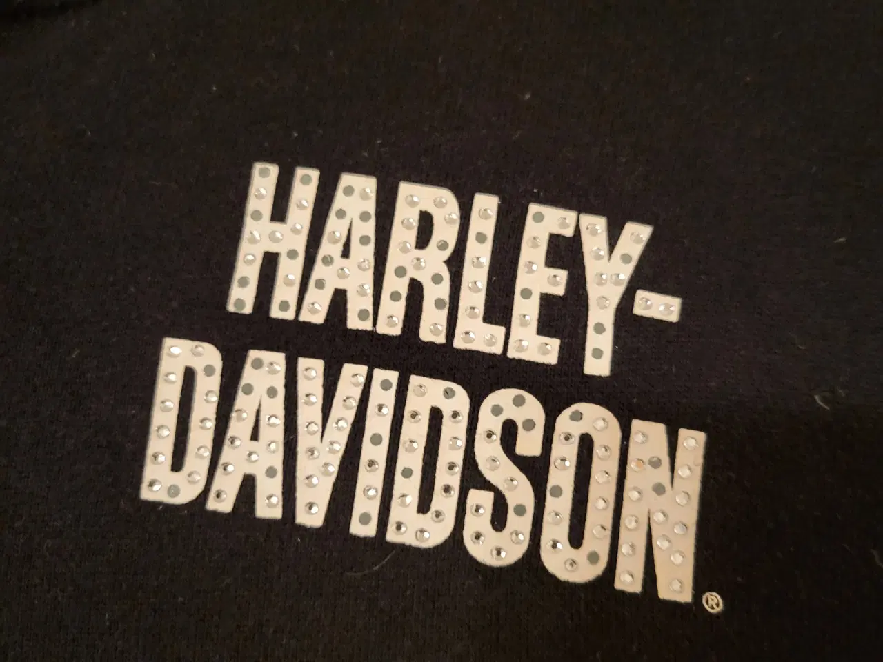 Billede 2 - Harley-Davidson hoodie . Sten