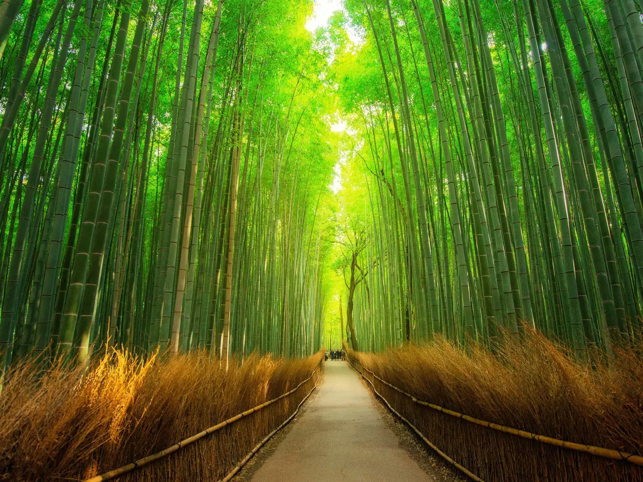 Billede 1 - Bosch Tørretumbler Kondens