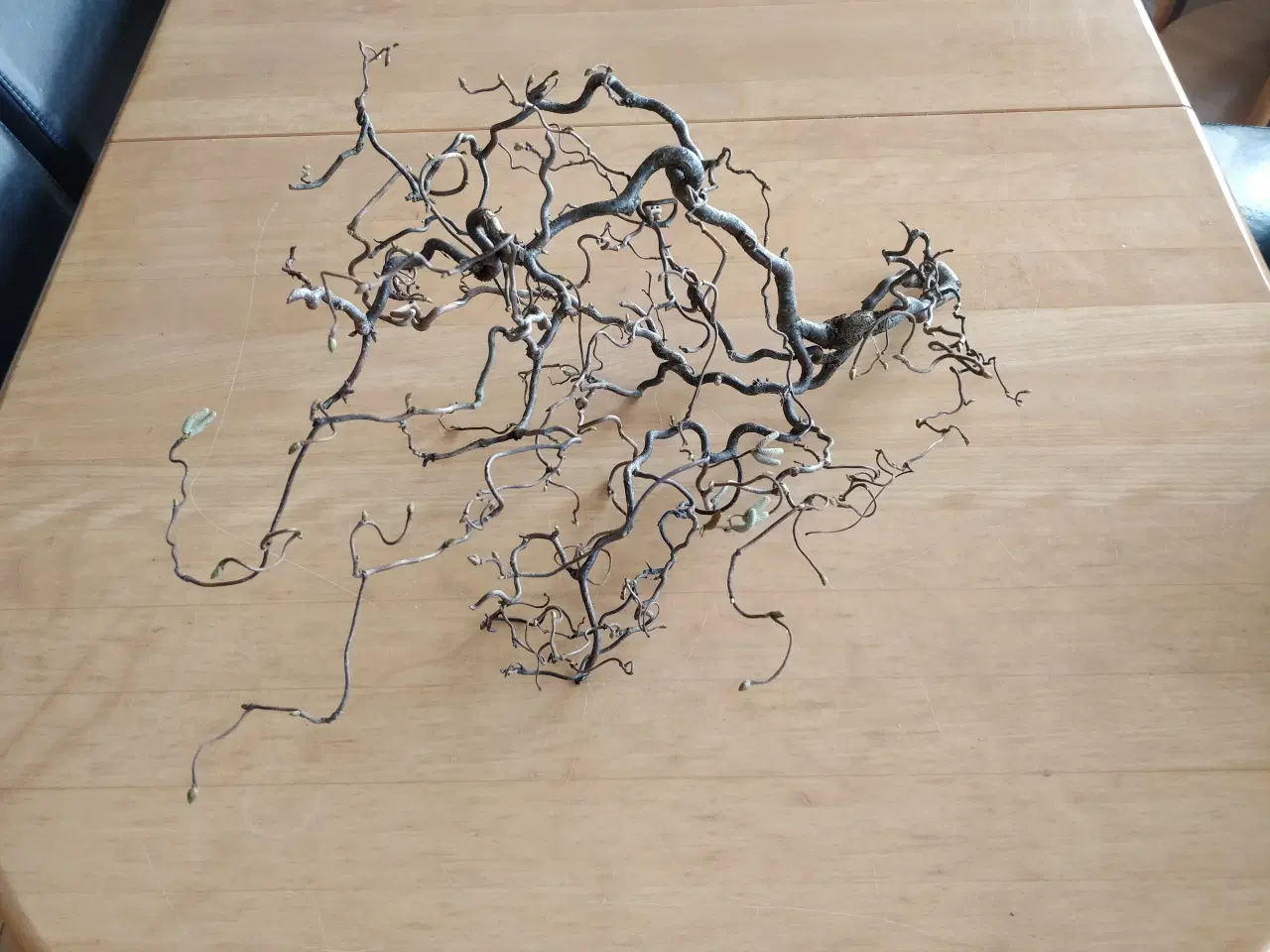 Billede 2 - Troldegrene