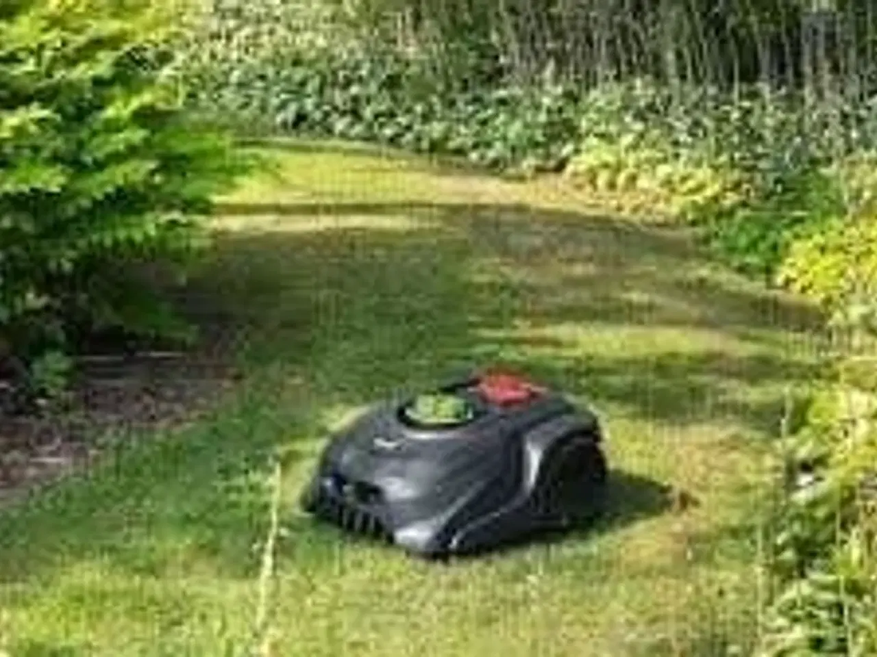Billede 1 - Grouw 17936 - 900 M2 Robotplæneklipper