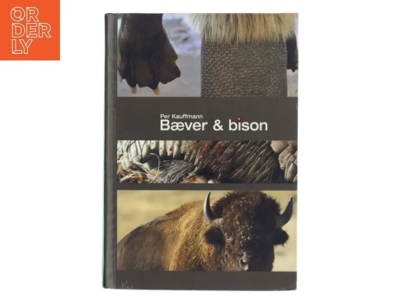 Billede 1 - Bæver & bison af Per Kauffmann (Bog)