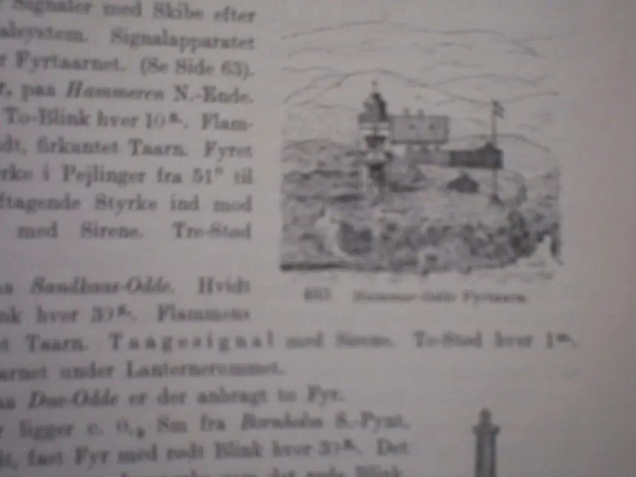 Billede 6 - Den Danske Lods 1925