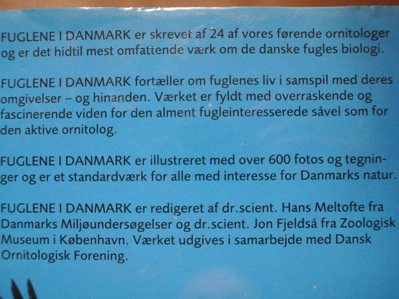 Billede 5 - fuglene i danmark, red. af hans meltofte og jon fj