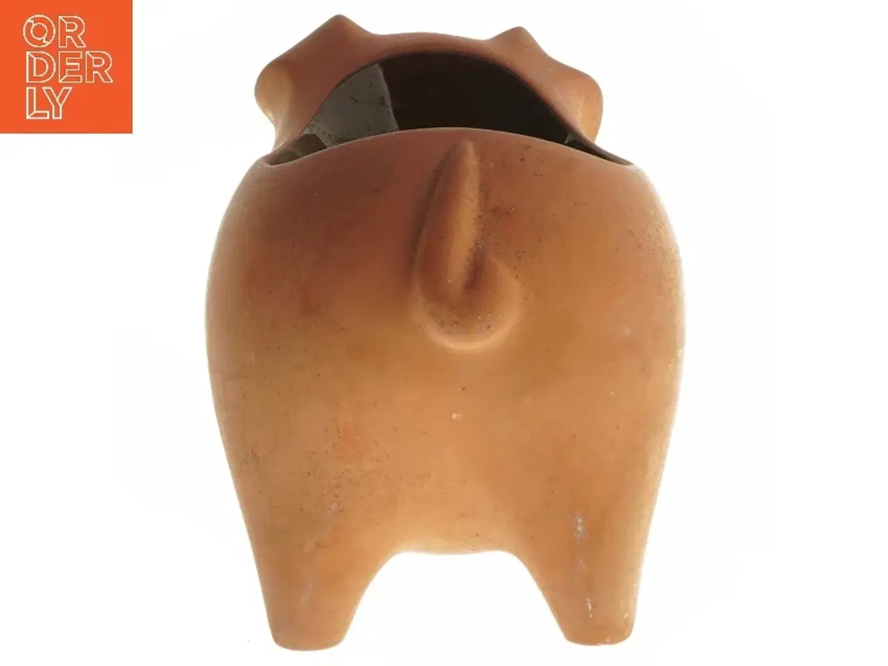 Billede 4 - Karsegris fra Knabstrup