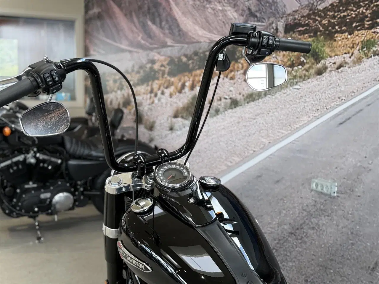 Billede 27 - Harley-Davidson FLSL SOFTAIL SLIM 107"
