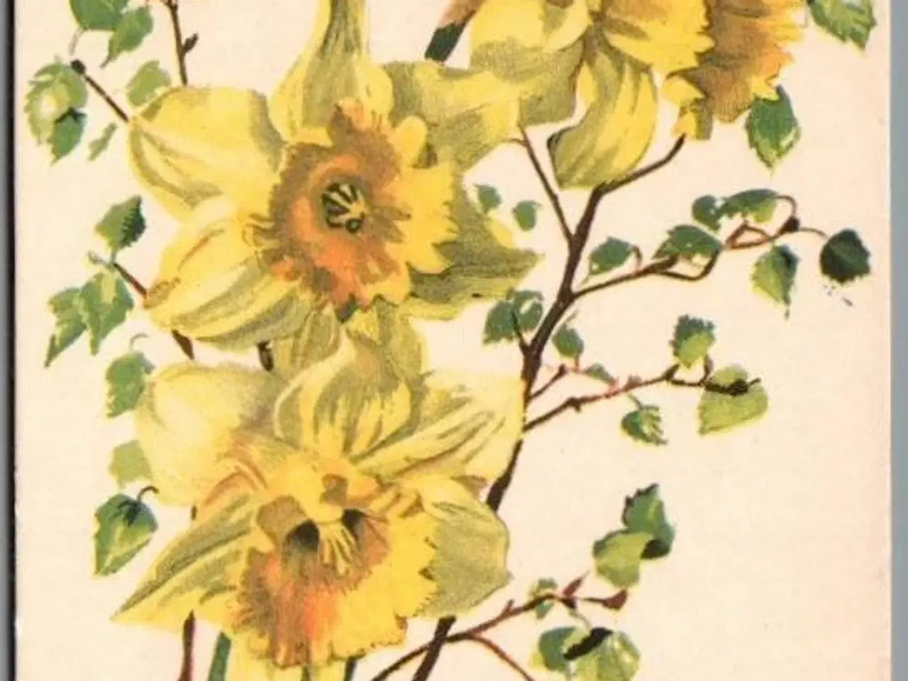 Billede 1 - Illa - Eneret Serie 51 - Postkort - Brugt