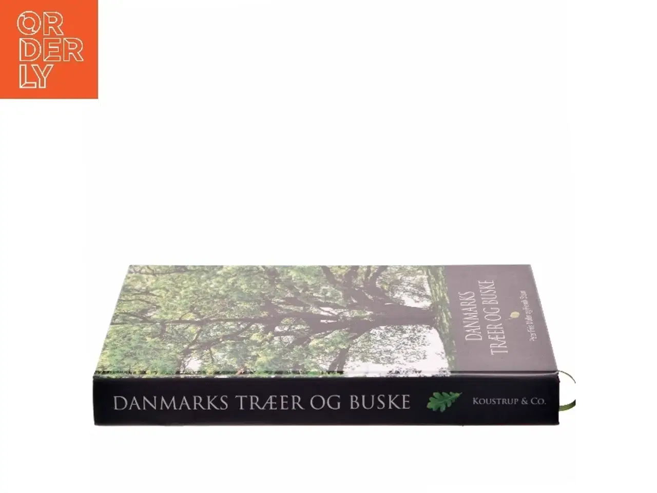 Billede 2 - Danmarks træer og buske af Henrik Staun (Bog)