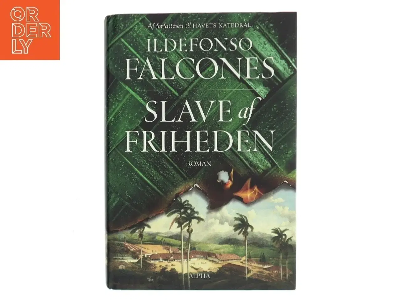 Billede 1 - Slave af Friheden af Ildefonso Falcones (Bog)