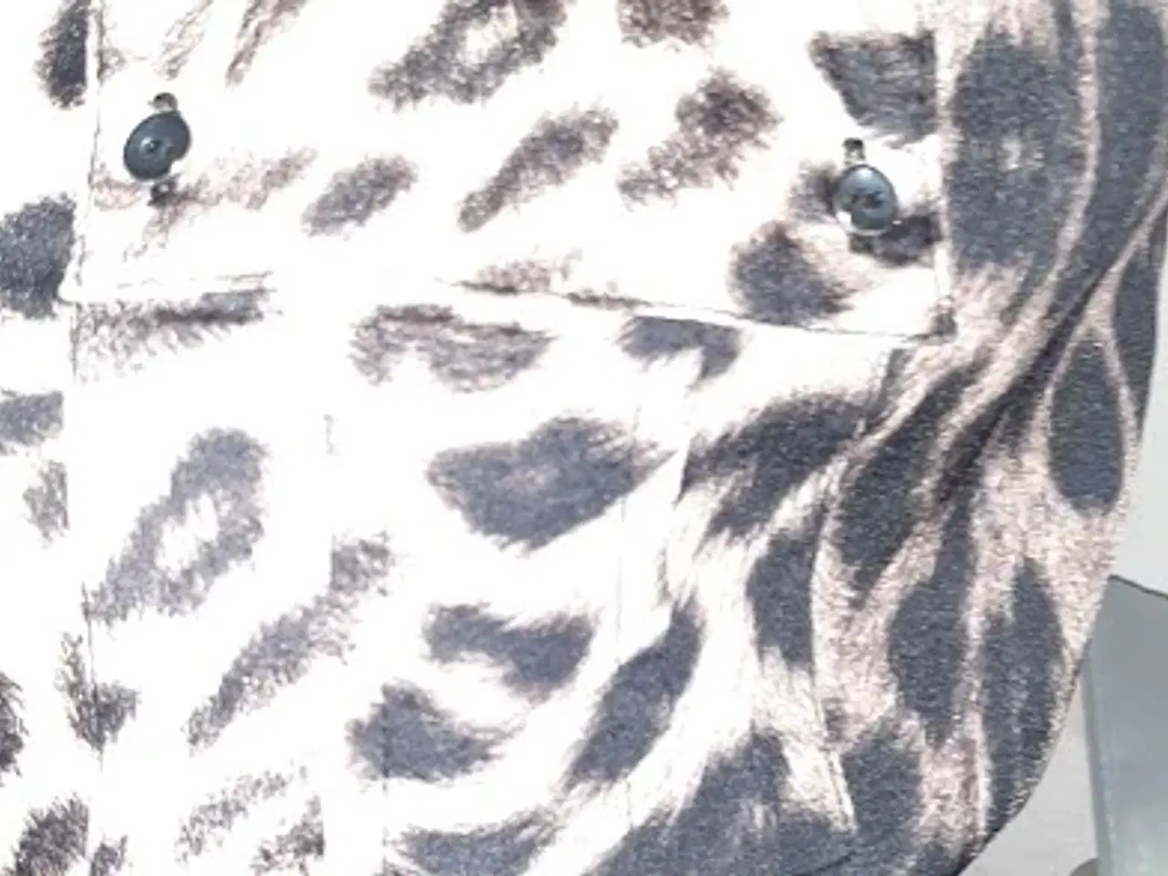 Billede 4 - River IsIand Kjole,med leopard print str: 36