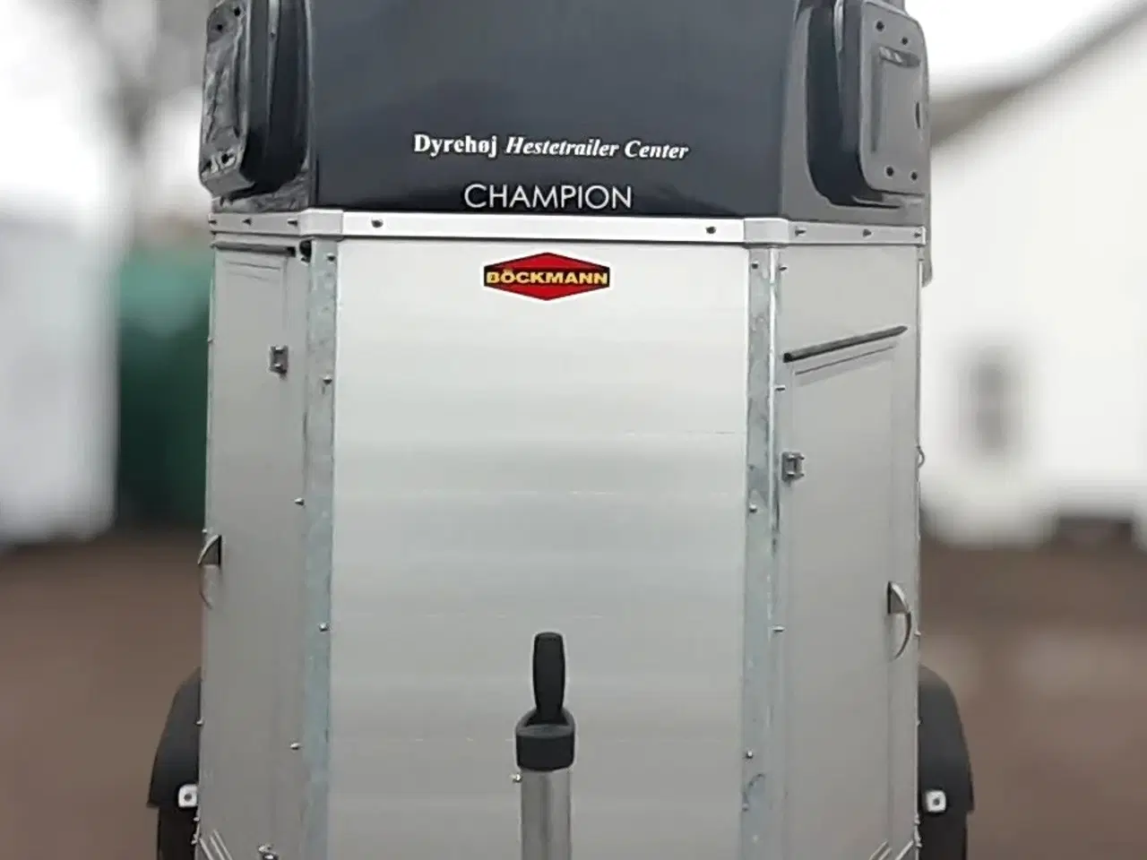 Billede 2 - Böckmann Champion Esprit (Udstilling)