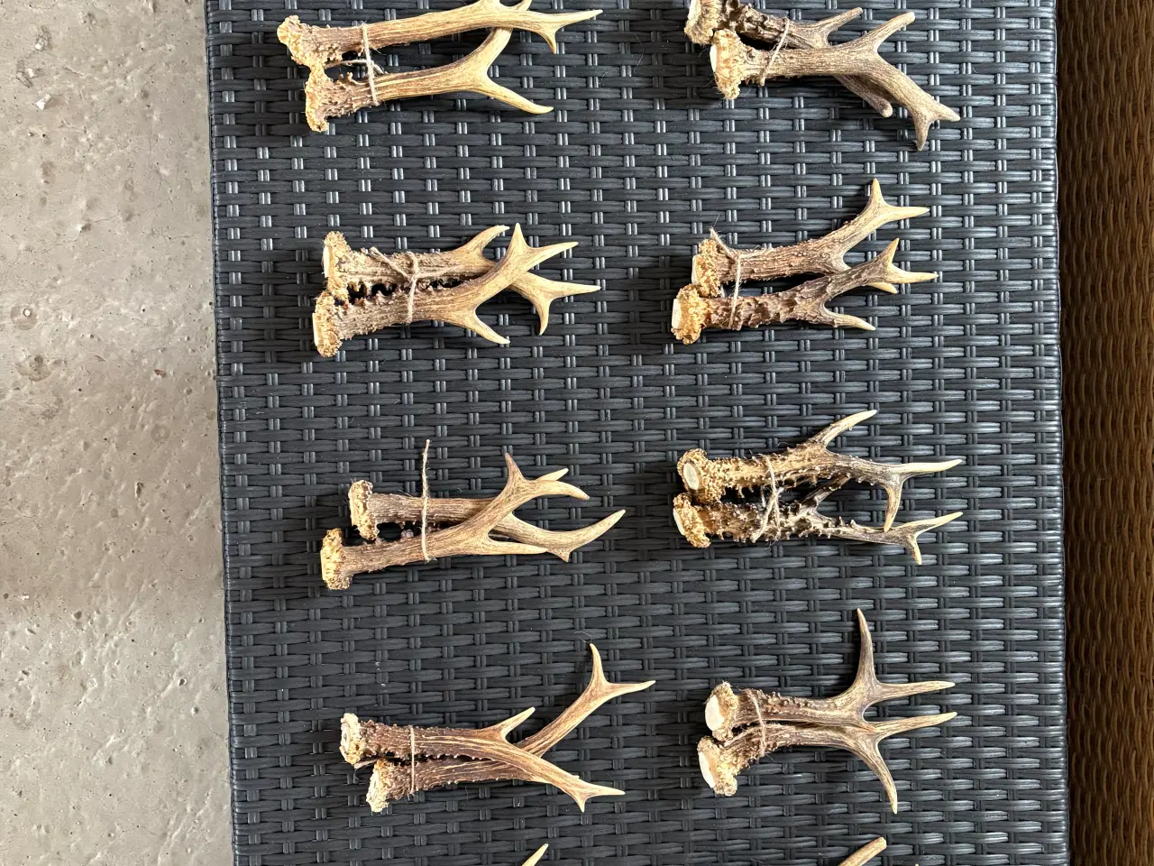 Billede 2 - Gevir fra rådyr