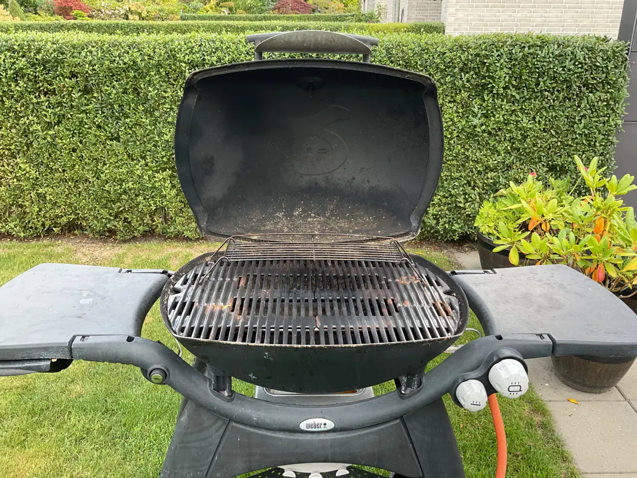 Billede 2 - Weber gasgrill Q-300