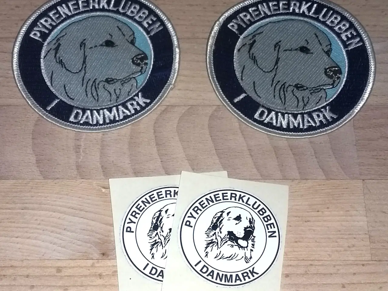 Billede 8 - Hunde premier Pyreneer