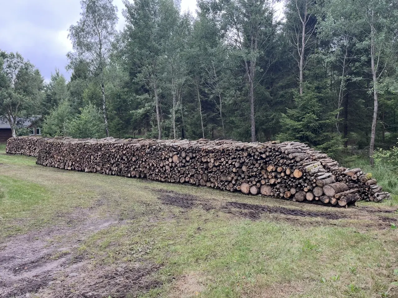 Billede 1 - 20 skovrummeter løvtræ inkl. levering