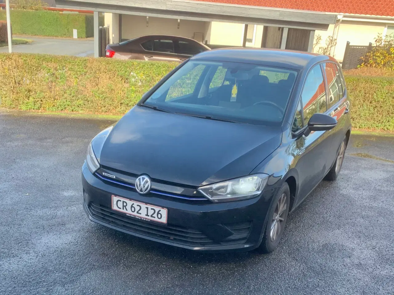 Billede 10 - Golf Sportsvan 