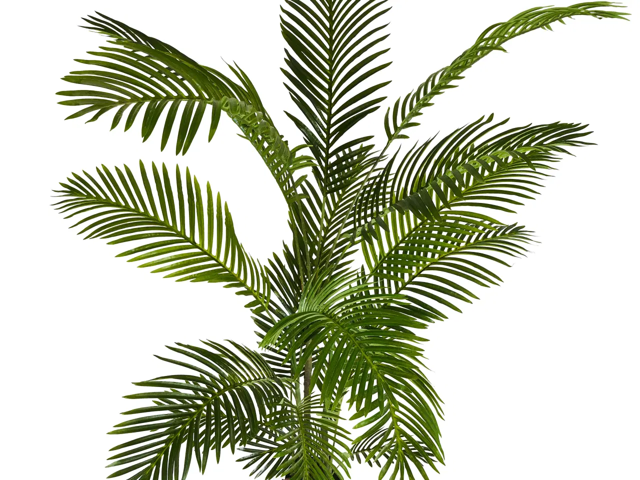 Billede 2 - Kunstig plante Palme træ 150 cm