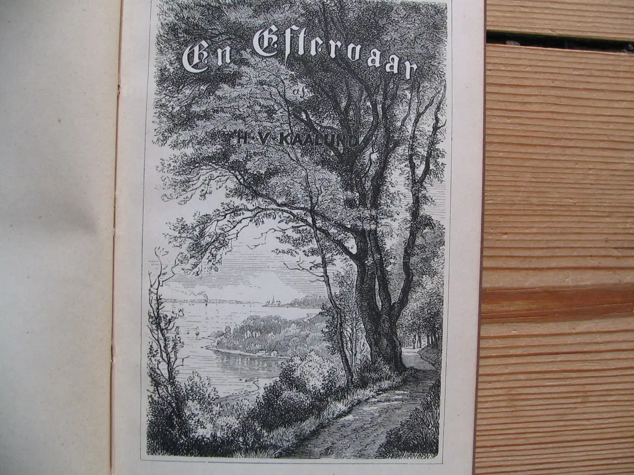 Billede 3 - H.V. Kaalund. En Eftervaar, fra 1878