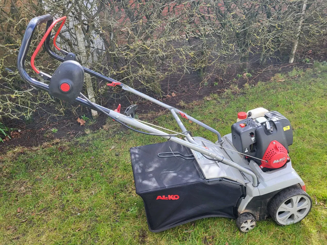 Billede 3 - AL-KO Comford 38P vertikalskærer med opsamler.