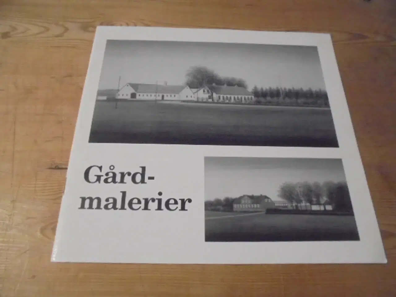 Billede 1 - Gårdmalerier – særtryk fra 2004