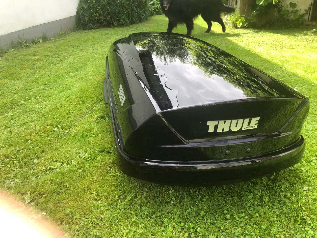Billede 2 - Thule tagboks. 