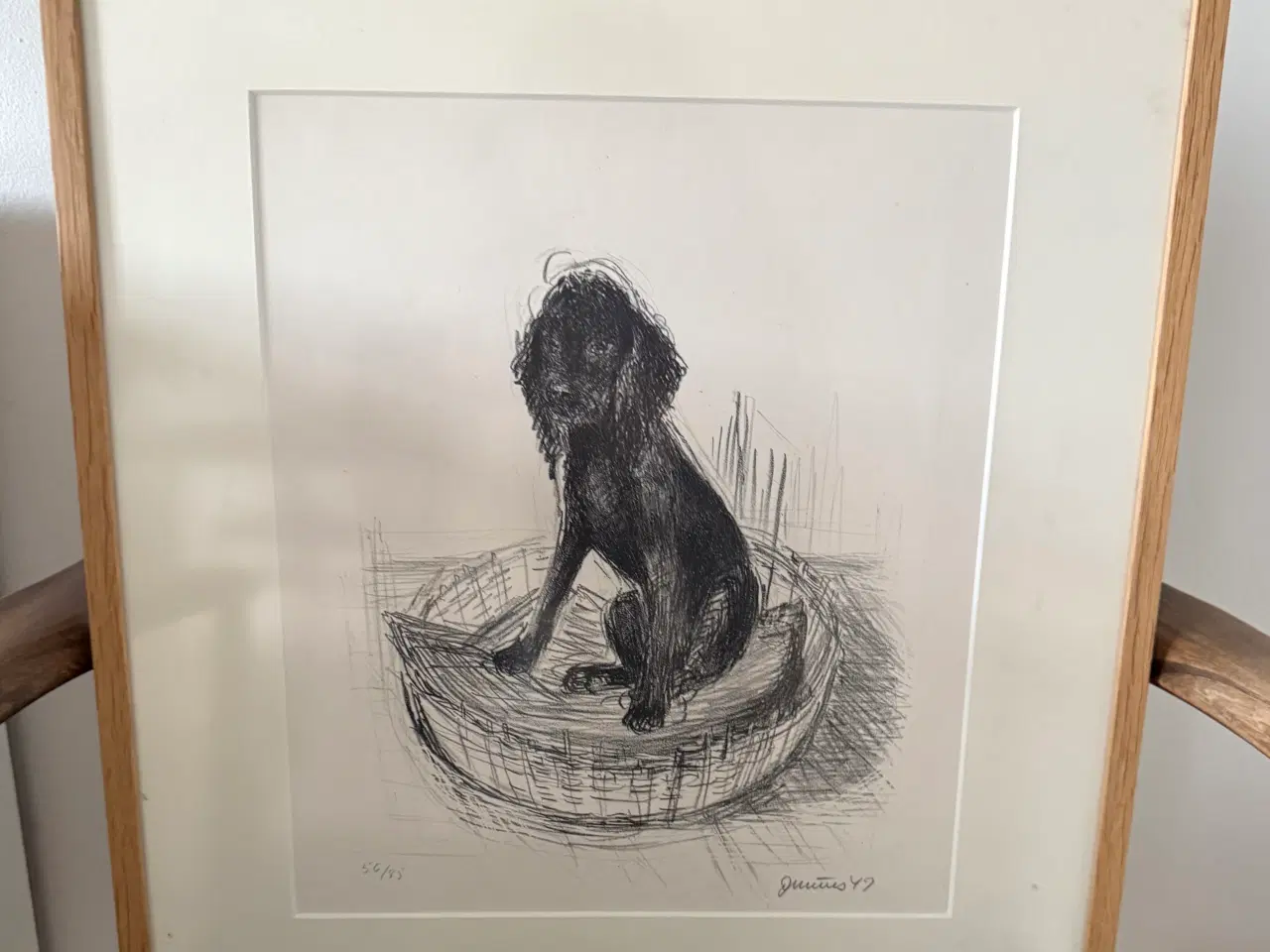 Billede 1 - Topsy i sin kurv