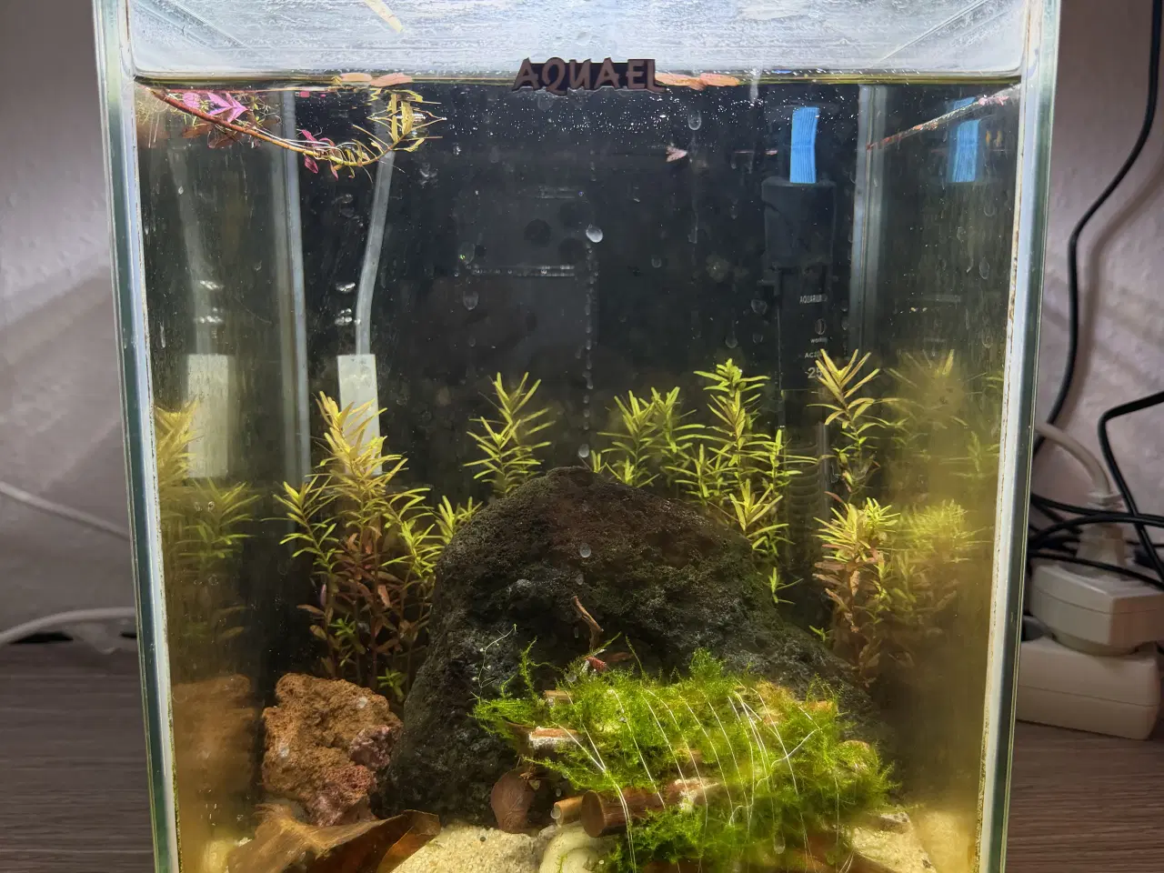 Billede 1 - Aquael 19L