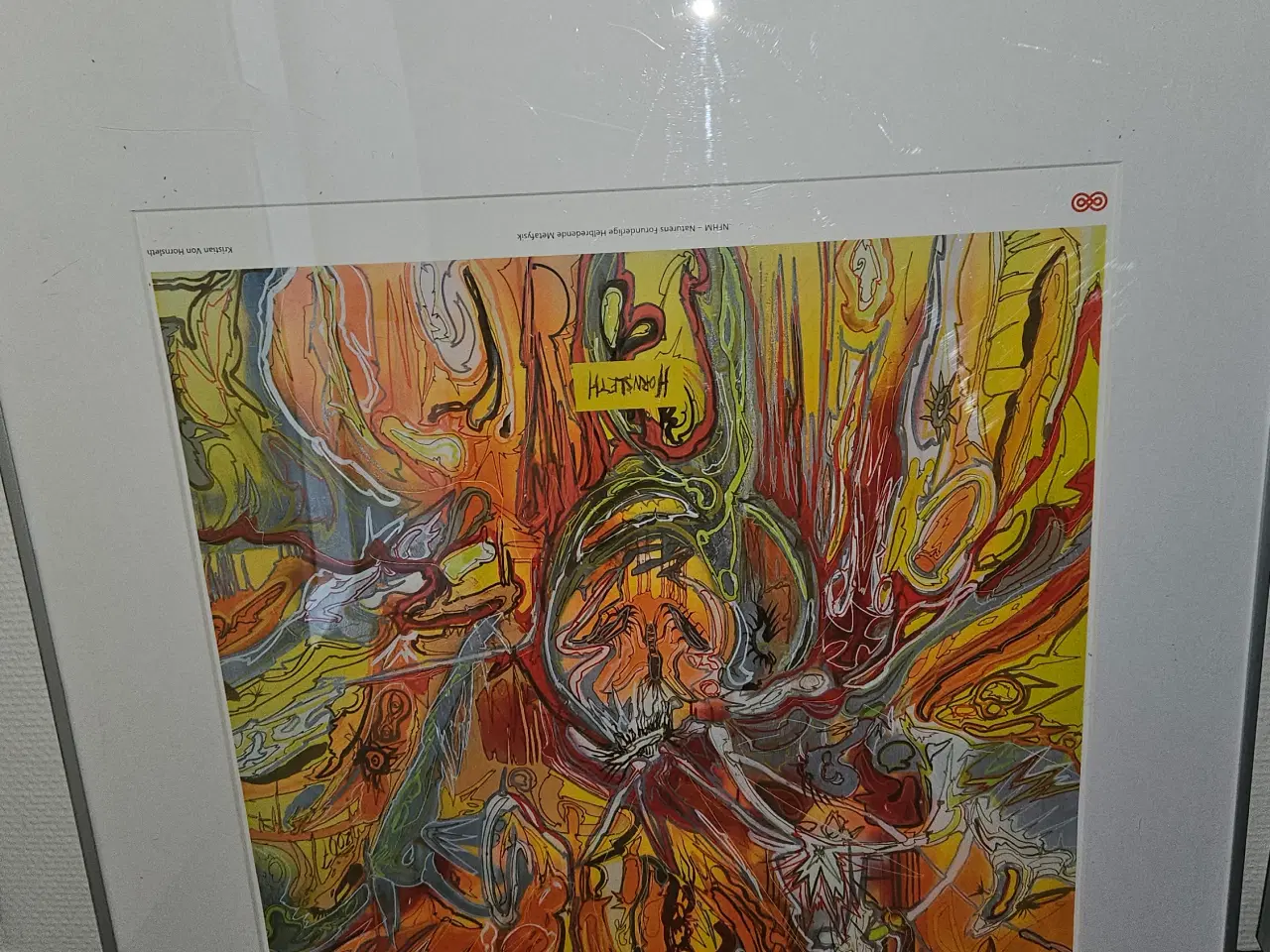 Billede 11 - Blandet landhandel: spejReoler, hvidt service, DVD