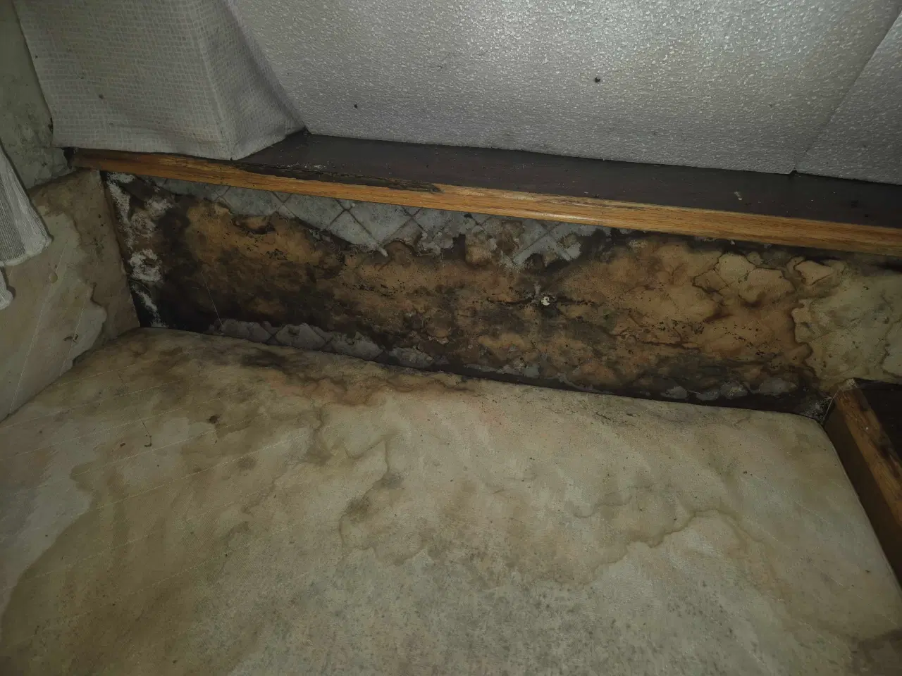 Billede 11 - Stor vogn