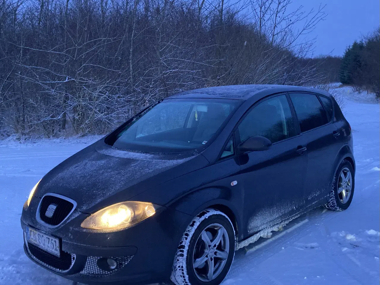 Billede 3 - Nysynet Seat Altea Van