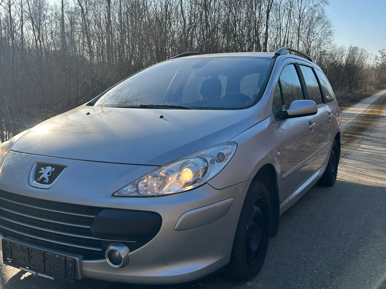 Billede 2 - Peugeot 307 1,6 HDI 