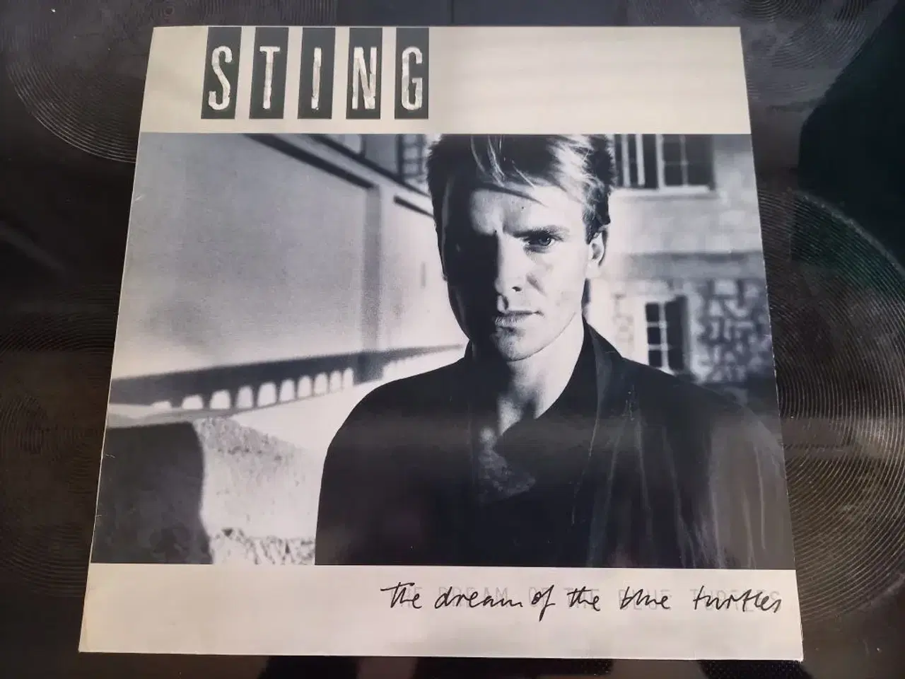 Billede 1 - Sting "The Dream of the blue turtles"
