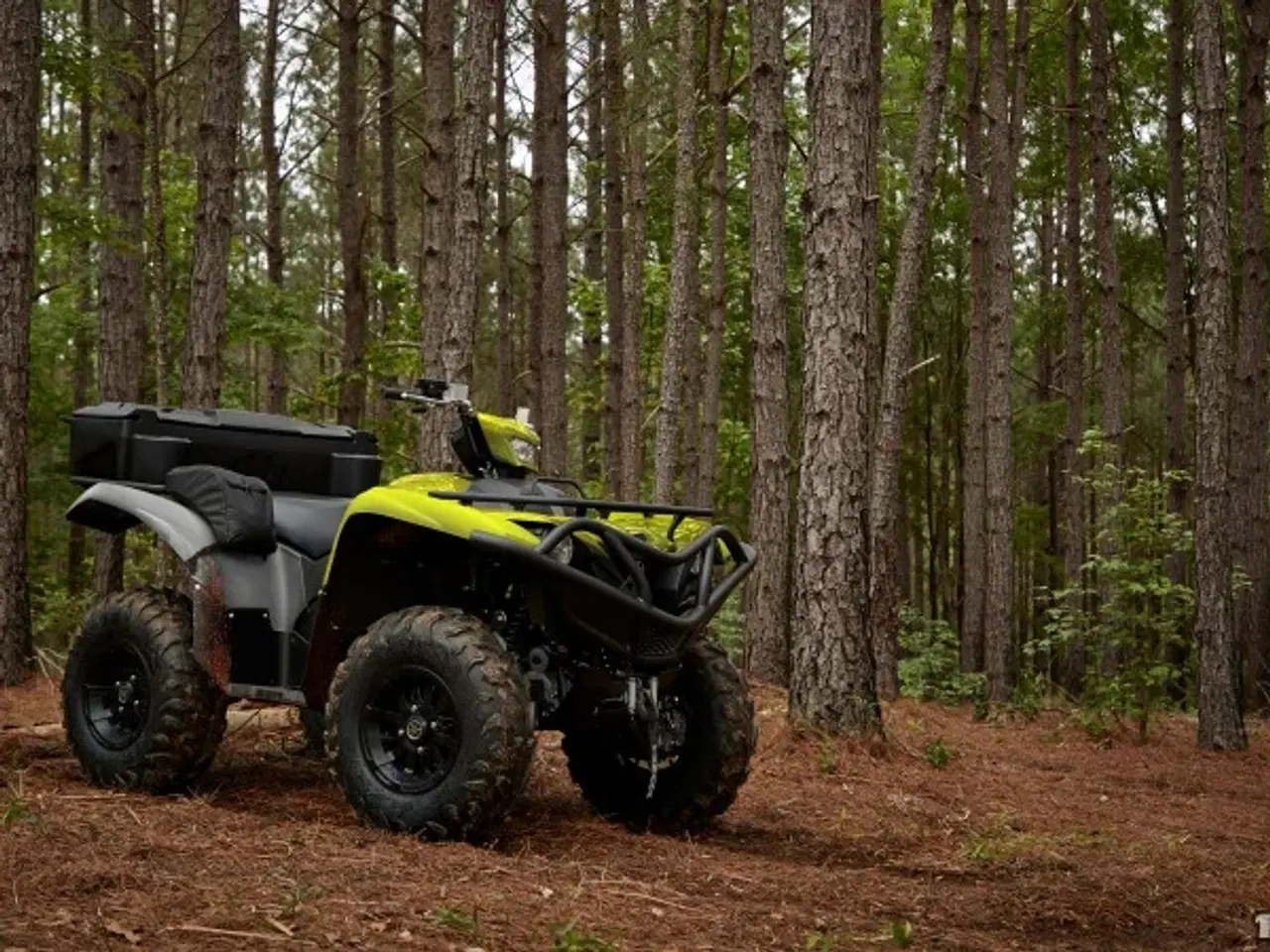 Billede 3 - Yamaha YFM 700 Grizzly EPS ALU