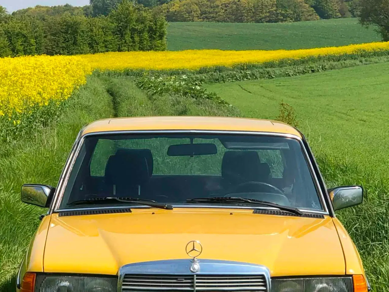 Billede 9 - Mercedes benz 123 2,0 benzin