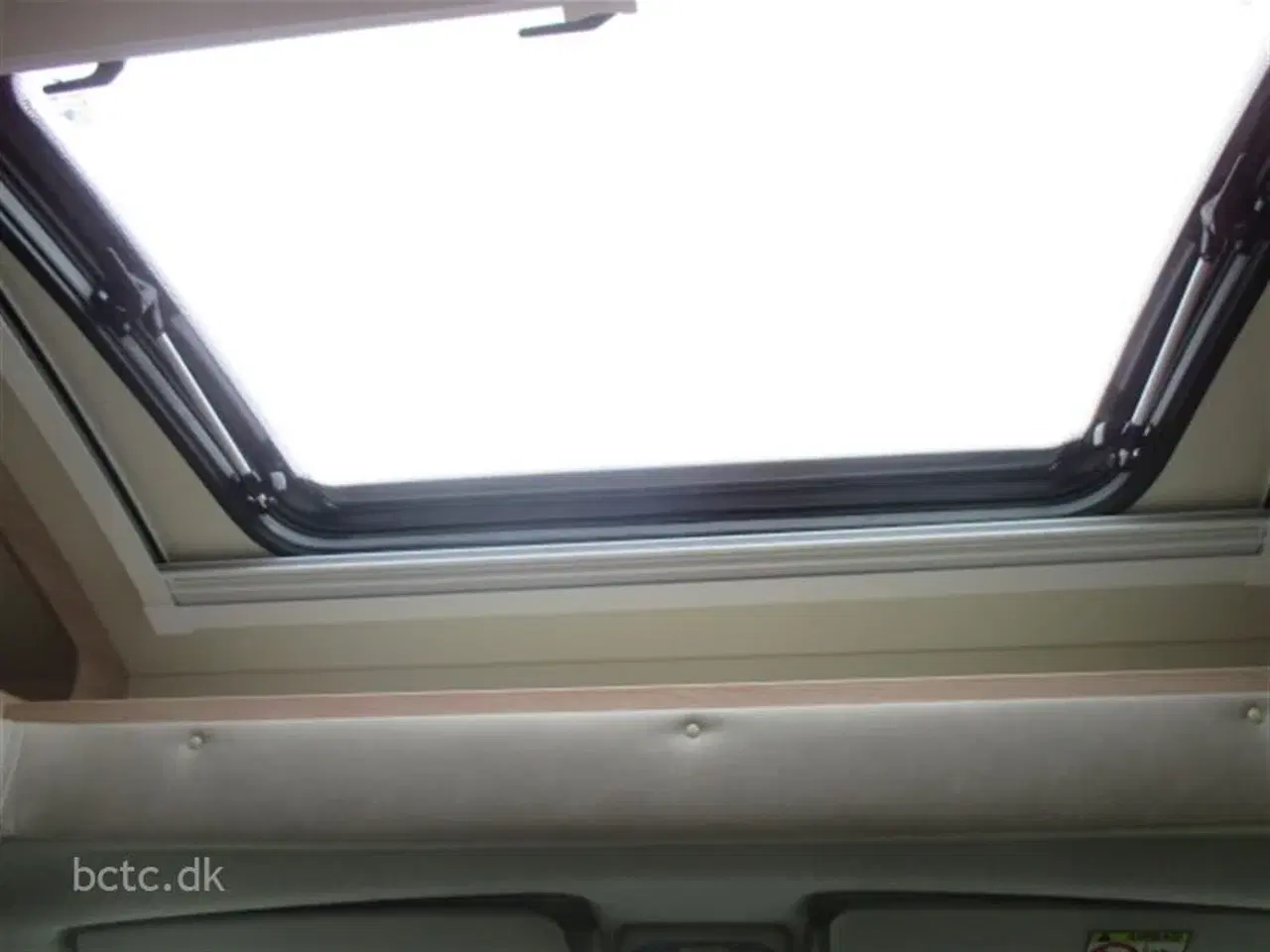 Billede 13 - 2022 - Giottiline Sienna