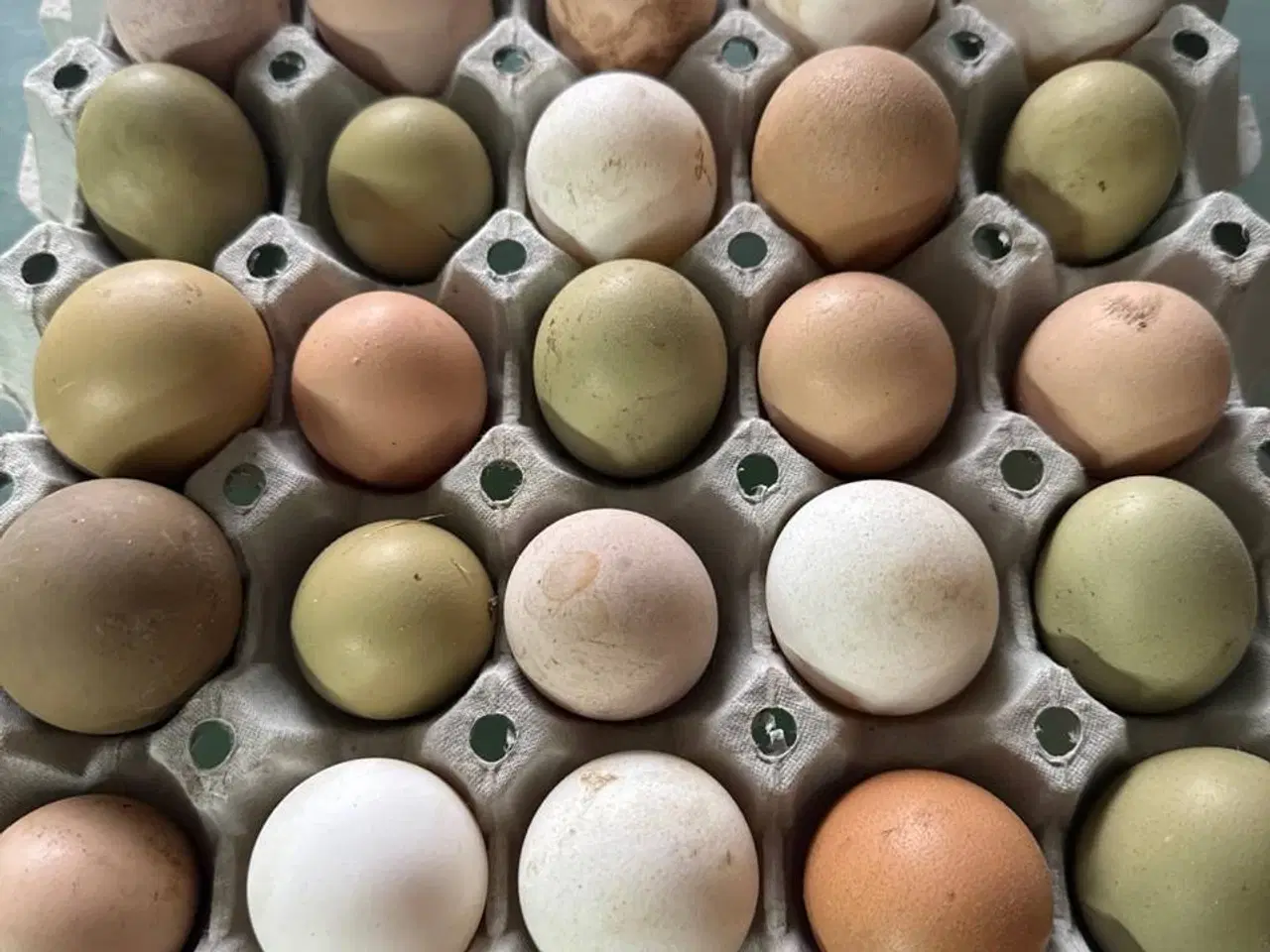 Billede 1 - 30 æg fra fritgående høns 50kr i 6818 Årre