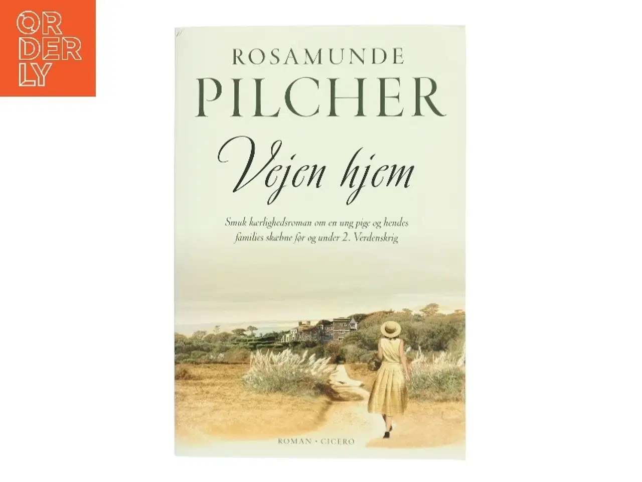 Billede 1 - Vejen hjem af Rosamunde Pilcher (Bog)
