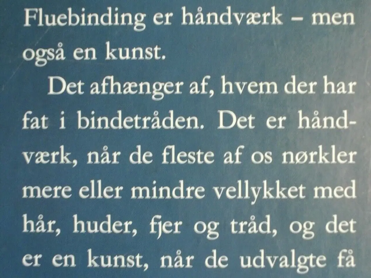 Billede 2 - fluer med historie - en pinus-håndbog om fluer, fl
