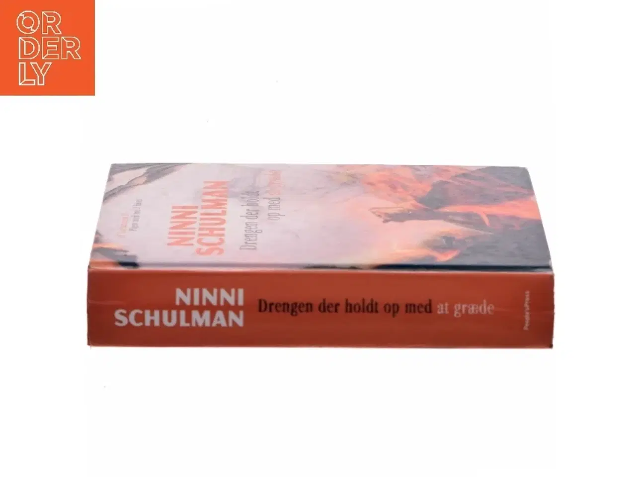 Billede 2 - Drengen der holdt op med at græde af Ninni Schulman (Bog)