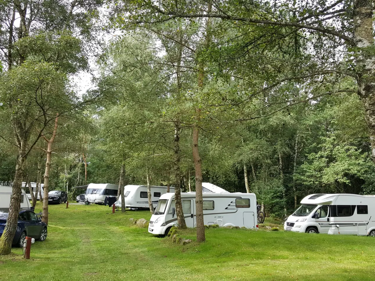 Billede 1 - Camping i Djurslands skønneste natur