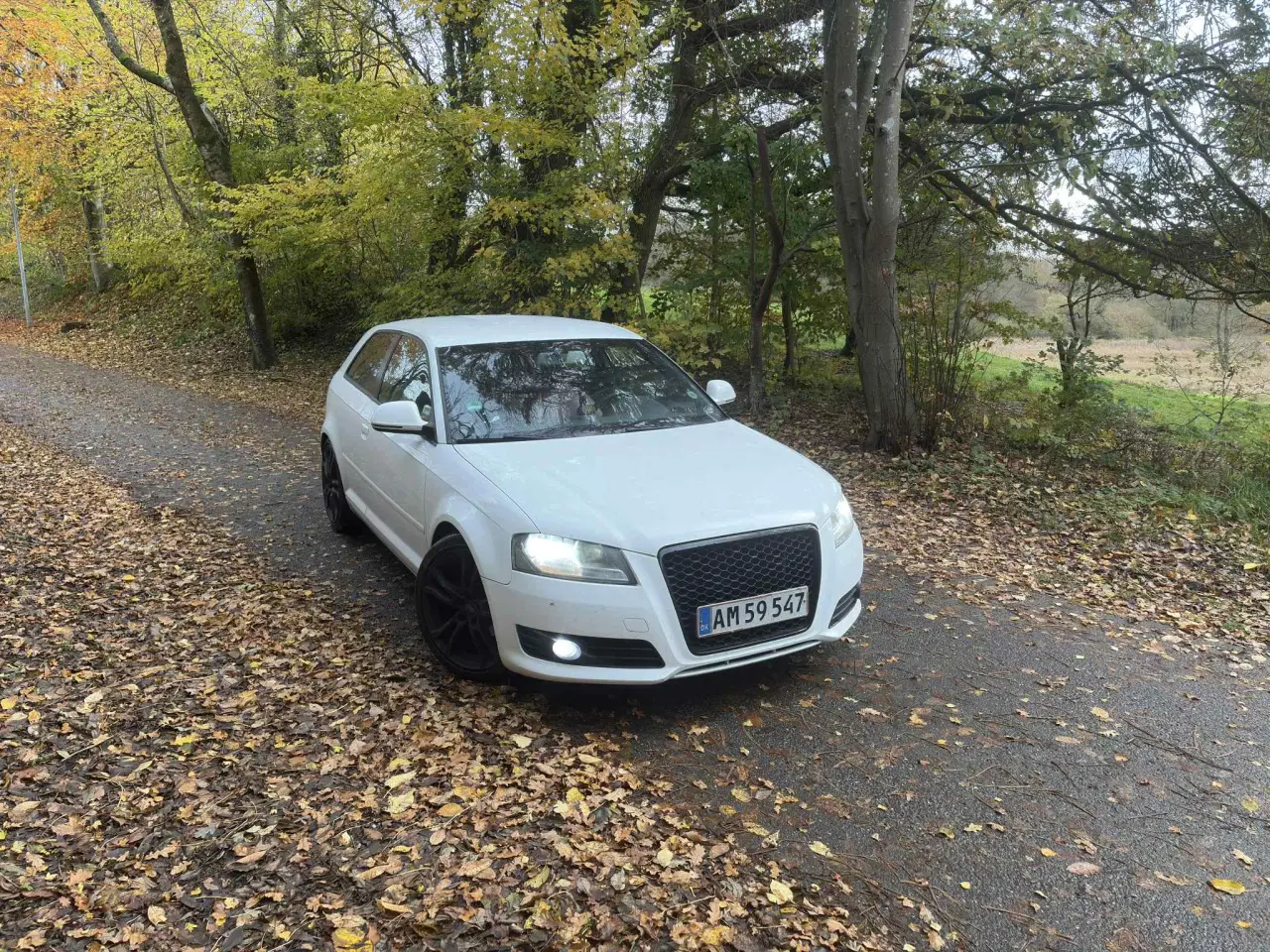 Billede 17 - Audi A3 8P Facelift ( Fuld Service bog )