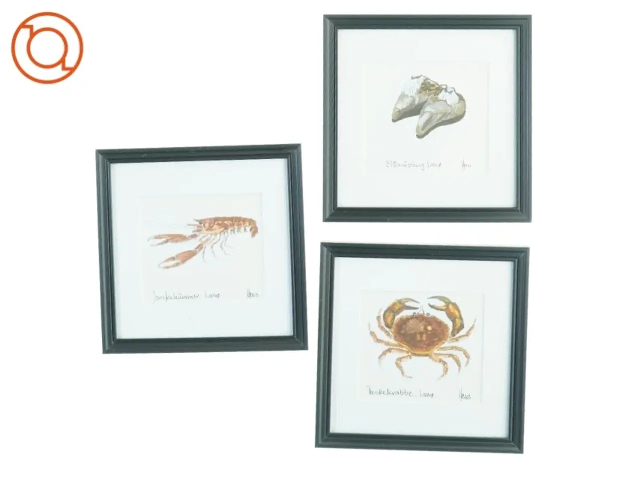 Billede 1 - Samling af tre indrammede illustrationer (str. 22 x 22 cm)