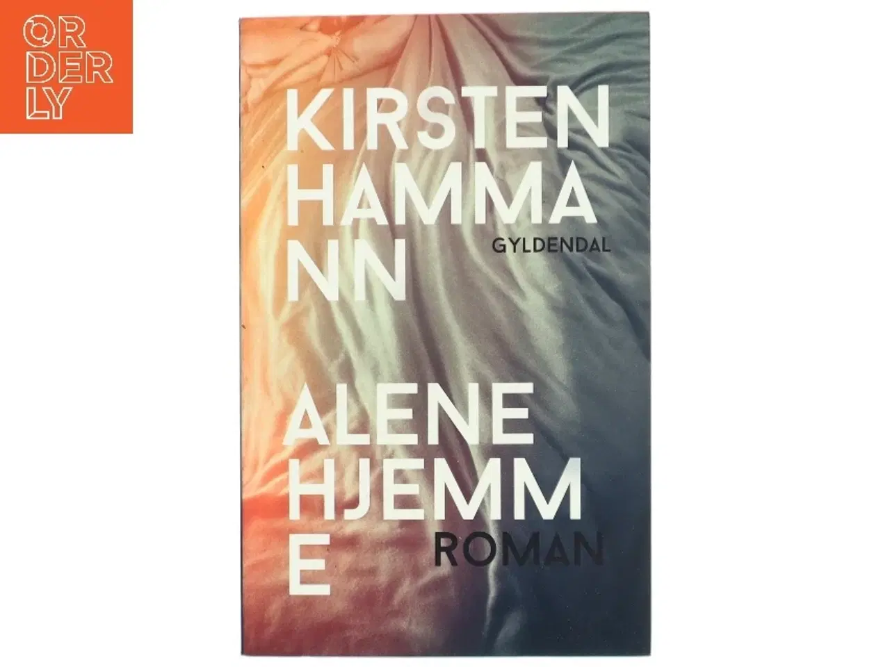 Billede 1 - Alene hjemme : roman (Klassesæt) af Kirsten Hammann (Bog)