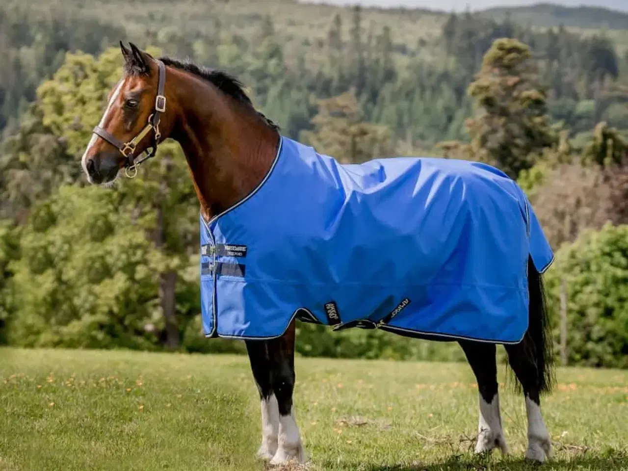 Billede 1 - Amigo hero mulighed for hals 140